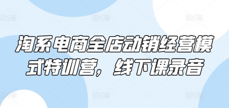 淘系电商全店动销经营模式特训营，线下课录音-轻创网