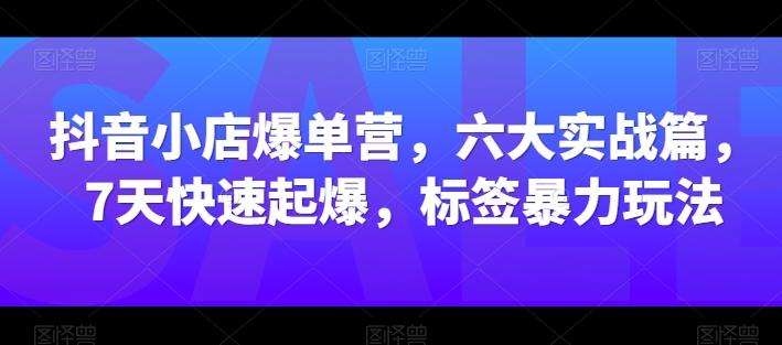 抖音小店爆单营，六大实战篇，7天快速起爆，标签暴力玩法-轻创网