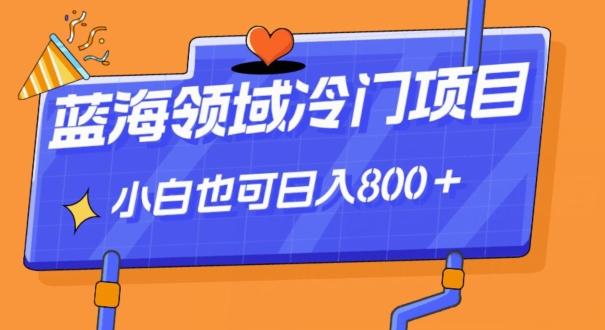 蓝海领域冷门赛道，一单39.9，日入800＋-轻创网