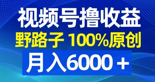 视频号野路子撸收益，100%原创，条条爆款，月入6000＋【揭秘】-轻创网
