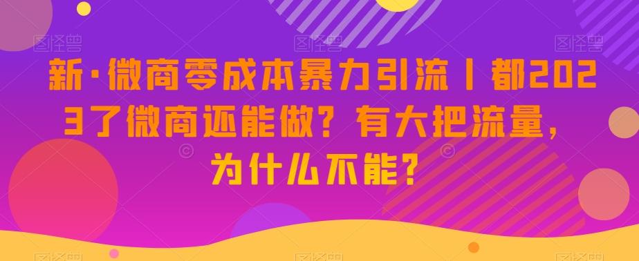 新·微商零成本暴力引流丨都2023了微商还能做？有大把流量，为什么不能？-轻创网
