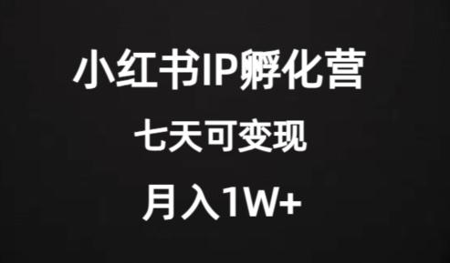 价值2000+的小红书IP孵化营项目，超级大蓝海，七天即可开始变现，稳定月入1W+-轻创网