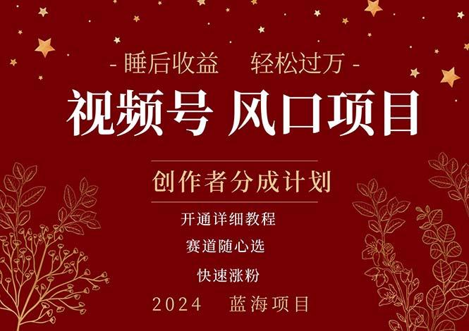 拥有睡眠收益的微信视频号大风口项目，轻松月入过万+，多赛道选择，可…-轻创网