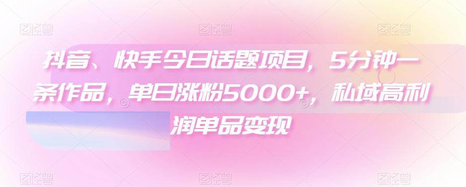 抖音、快手今日话题项目，5分钟一条作品，单日涨粉5000+，私域高利润单品变现-轻创网