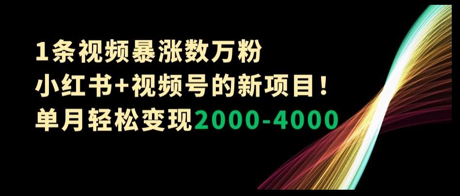 1条视频暴涨数万粉–小红书+视频号的新项目！单月轻松变现2000-4000【揭秘】-轻创网