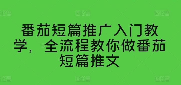 番茄短篇推广入门教学，全流程教你做番茄短篇推文-轻创网