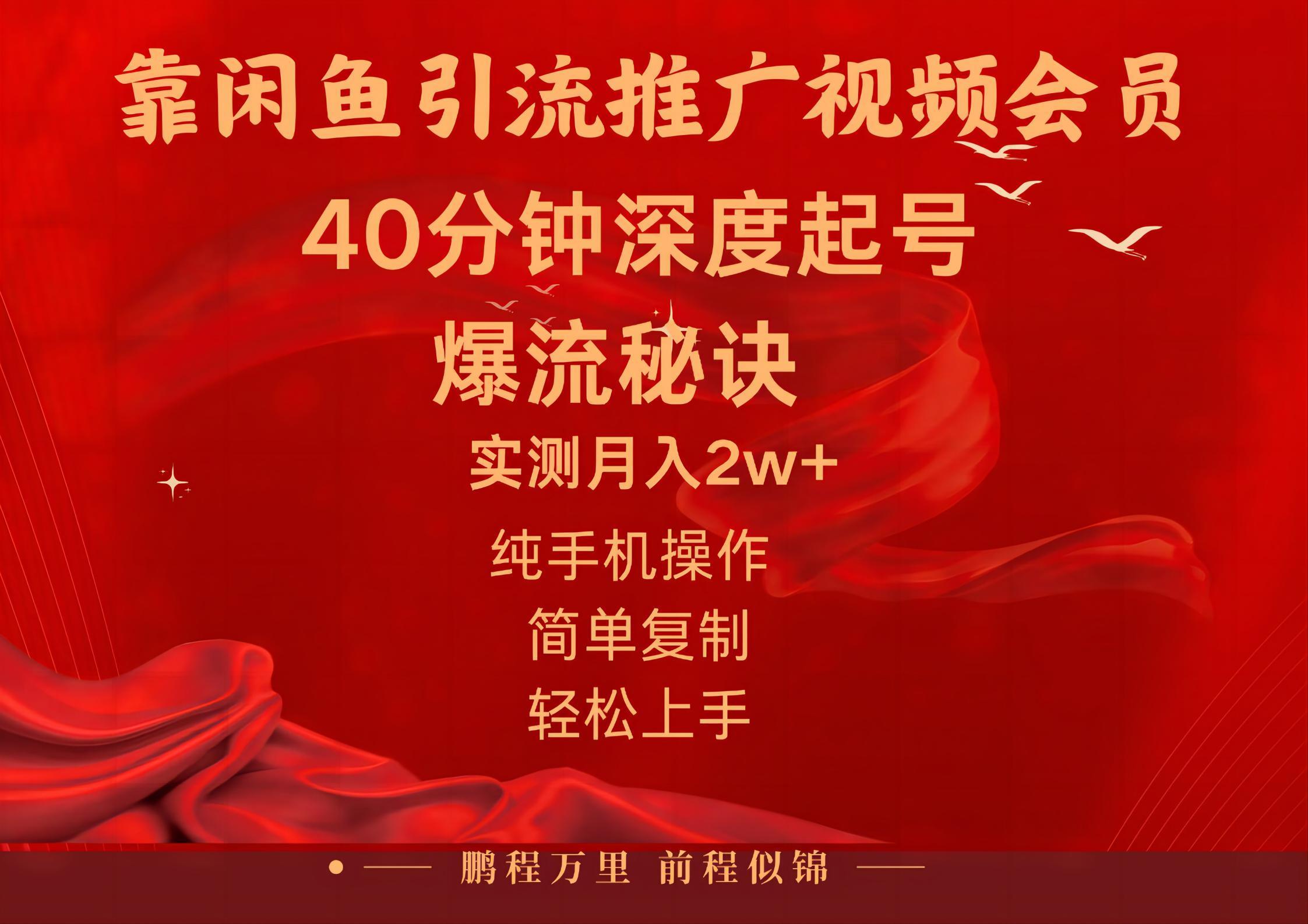 闲鱼暴力引流推广视频会员，能做到日入2W+，操作简单-轻创网