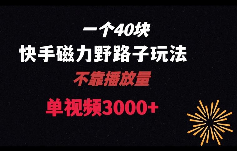 一个40块，快手联合美团磁力新玩法，无视机制野路子玩法，单视频收益4位数【揭秘】-轻创网