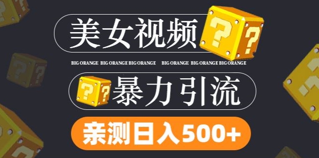 搬运tk美女视频全网分发，日引s粉300+，轻松变现，不限流量不封号【揭秘】-轻创网