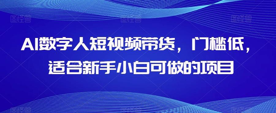 AI数字人短视频带货，门槛低，适合新手小白可做的项目-轻创网