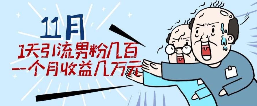 11月最新每天引流男粉300+一个月收益几万元-轻创网