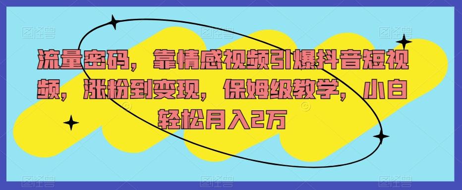 流量密码，靠情感视频引爆抖音短视频，涨粉到变现，保姆级教学，小白轻松月入2万【揭秘】-轻创网