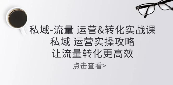 私域-流量 运营&转化实操课：私域 运营实操攻略 让流量转化更高效-轻创网
