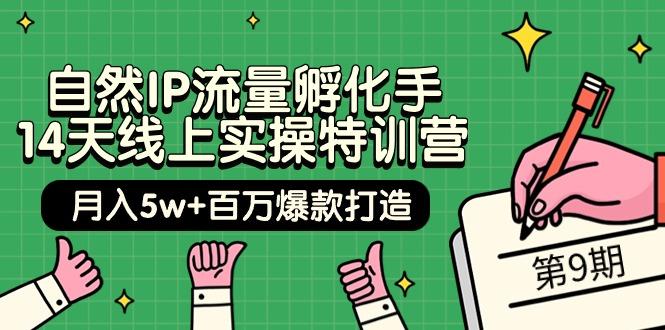 (9881期)自然IP流量孵化手 14天线上实操特训营【第9期】月入5w+百万爆款打造 (74节)-轻创网