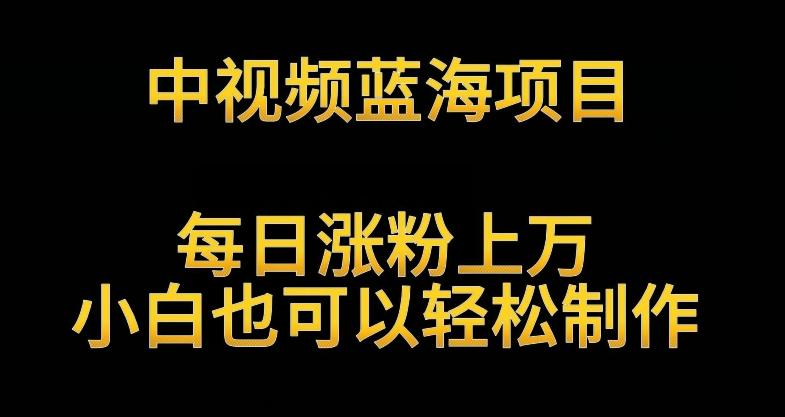中视频蓝海项目，解读英雄人物生平，每日涨粉上万，小白也可以轻松制作，月入过万不是梦【揭秘】-轻创网