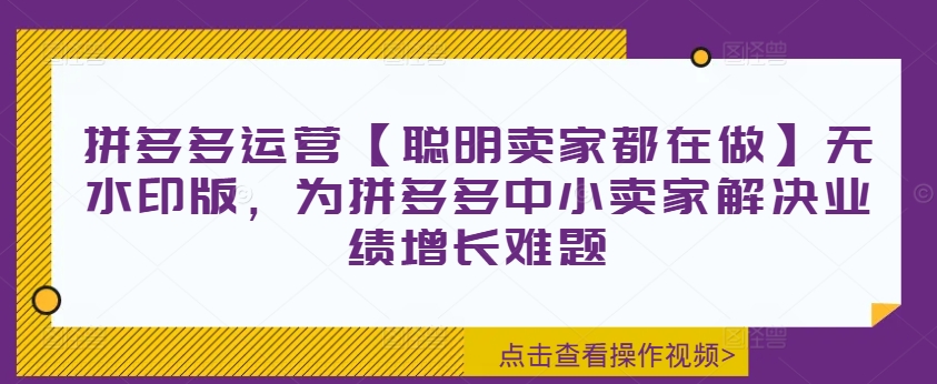 拼多多运营【聪明卖家都在做】无水印版，为拼多多中小卖家解决业绩增长难题-轻创网