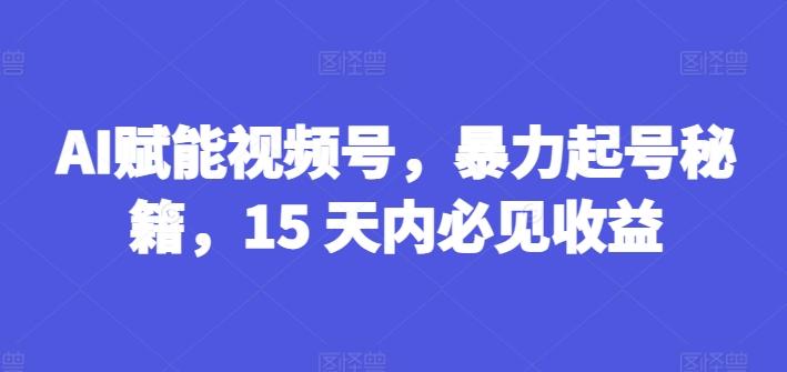 AI赋能视频号，暴力起号秘籍，15 天内必见收益【揭秘】-轻创网