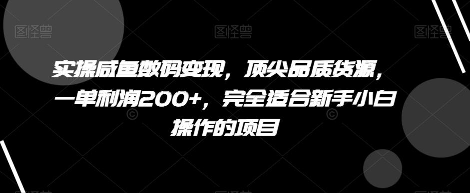 实操咸鱼数码变现，顶尖品质货源，一单利润200+，完全适合新手小白操作的项目【揭秘】-轻创网