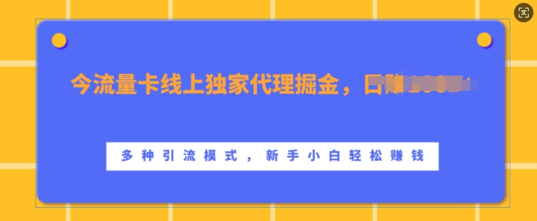 流量卡线上独家代理掘金，日入1k+ ，多种引流模式，新手小白轻松上手【揭秘】-轻创网