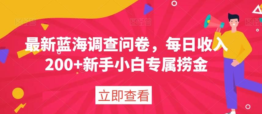 最新蓝海调查问卷，每日收入200+新手小白专属捞金-轻创网
