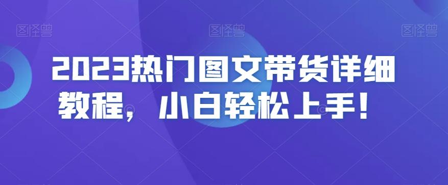 2023热门图文带货详细教程，小白轻松上手！-轻创网