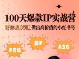 小红书100天爆款IP实战营，带你从0到1做出高价值的小红书号-轻创网