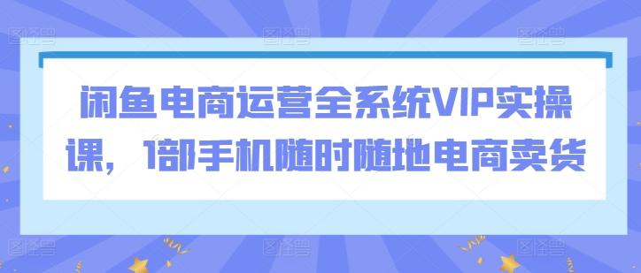 闲鱼电商运营全系统VIP实操课，1部手机随时随地电商卖货-轻创网