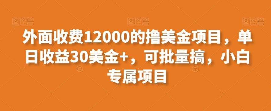 外面收费12000的撸美金项目，单日收益30美金+，可批量搞，小白专属项目-轻创网
