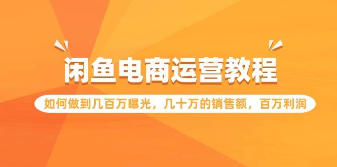 (9560期)闲鱼电商运营教程：如何做到几百万曝光，几十万的销售额，百万利润-轻创网