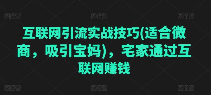 互联网引流实战技巧(适合微商，吸引宝妈)，宅家通过互联网赚钱-轻创网