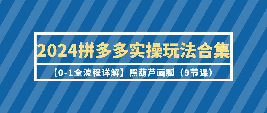 (9559期)2024拼多多实操玩法合集【0-1全流程详解】照葫芦画瓢(9节课)-轻创网
