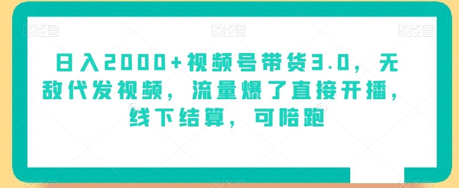 日入2000+视频号带货3.0，无敌代发视频，流量爆了直接开播，线下结算，可陪跑-轻创网
