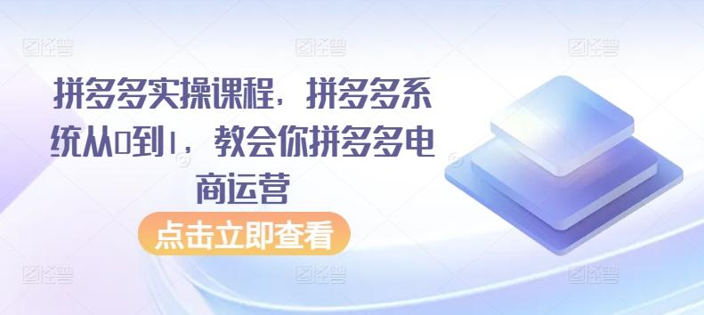 拼多多实操课程，拼多多系统从0到1，教会你拼多多电商运营-轻创网