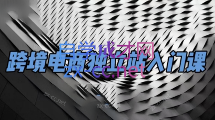 团长·跨境电商独立站入门课(2小时精华)-轻创网