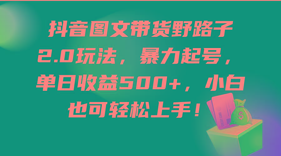 (9790期)抖音图文带货野路子2.0玩法，暴力起号，单日收益500+，小白也可轻松上手！-轻创网