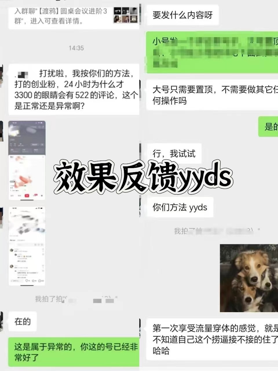 图片[3]-抖音小红书视频号全平台引流打法，全自动引流日引2000+精准客户-轻创网
