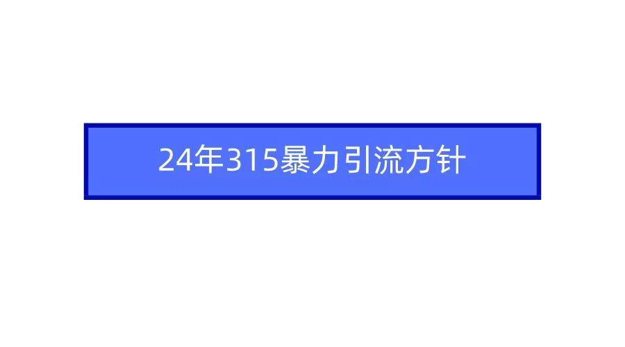 (9398期)2024年315暴力引流方针-轻创网