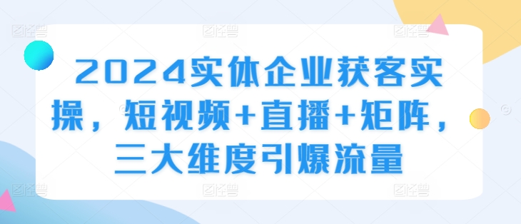 2024实体企业获客实操，短视频+直播+矩阵，三大维度引爆流量-轻创网