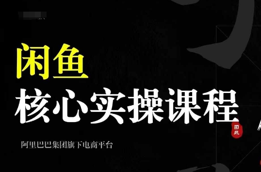 2024闲鱼核心实操课程，从养号、选品、发布、销售，教你做一个出单的闲鱼号-轻创网