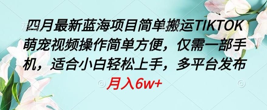 四月最新蓝海项目，简单搬运TIKTOK萌宠视频，操作简单方便，仅需一部手机【揭秘】-轻创网