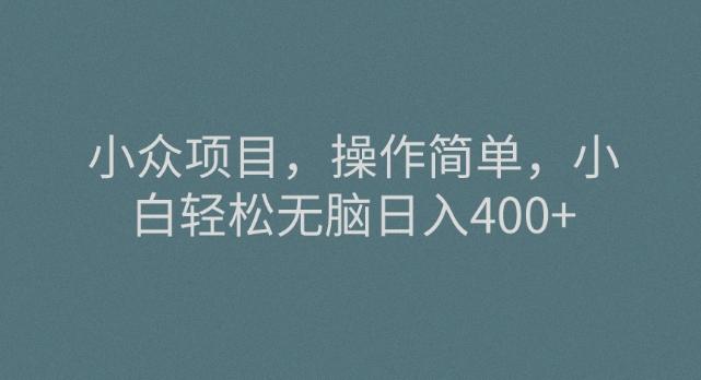 小众项目，操作简单，小白轻松无脑日入400+-轻创网