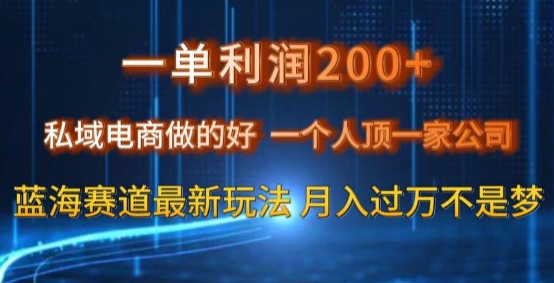 一单利润200私域电商做的好，一个人顶一家公司蓝海赛道最新玩法【揭秘】-轻创网