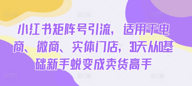小红书矩阵号引流，适用于电商、微商、实体门店，30天从0基础新手蜕变成卖货高手-轻创网