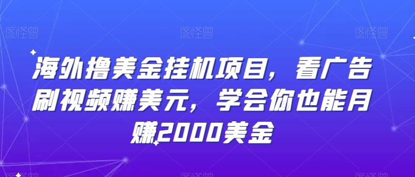 海外撸美金挂机项目，看广告刷视频赚美元，学会你也能月赚2000美金-轻创网