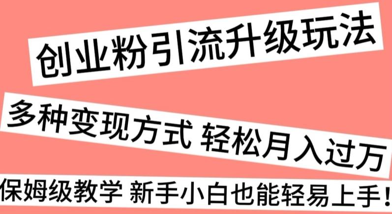 创业粉引流升级玩法，多种变现方式轻松月入过万，保姆级教学新手小白也能轻易上手！-轻创网