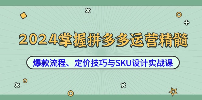 2024掌握拼多多运营精髓：爆款流程、定价技巧与SKU设计实战课-轻创网