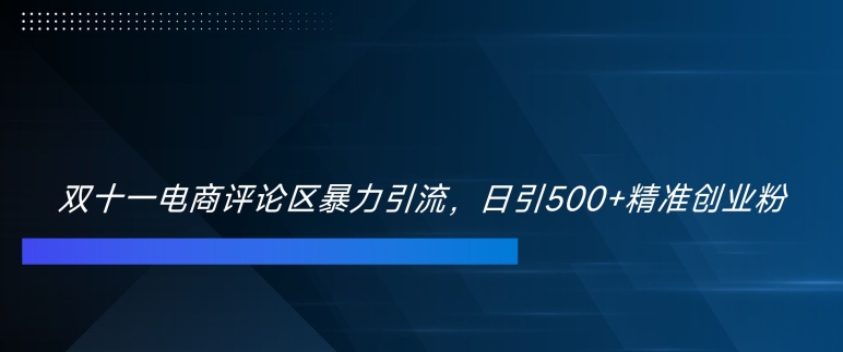 双十一电商评论区暴力引流，日引500+精准创业粉【揭秘】-轻创网