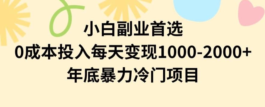 小白副业首选，0成本投入，每天变现1000-2000年底暴力冷门项目【揭秘】-轻创网
