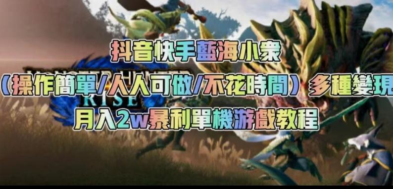 抖音快手蓝海小众（操作简单人人可做不花时间）多种变现月入2w＋暴利单机游戏教程-轻创网