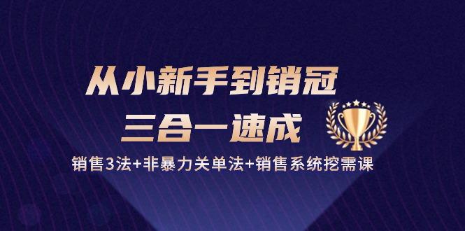 从小新手到销冠 三合一速成：销售3法+非暴力关单法+销售系统挖需课 (27节-轻创网